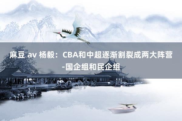 麻豆 av 杨毅：CBA和中超逐渐割裂成两大阵营-国企组和民企组