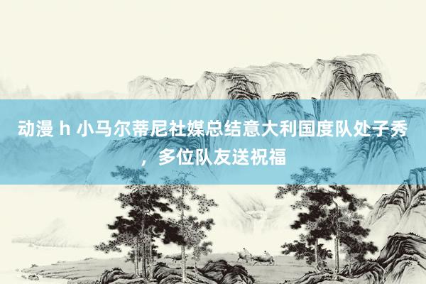 动漫 h 小马尔蒂尼社媒总结意大利国度队处子秀，多位队友送祝福