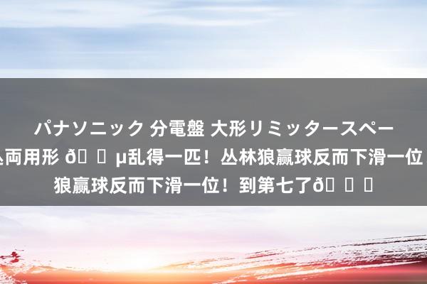 パナソニック 分電盤 大形リミッタースペース付 露出・半埋込両用形 😵乱得一匹！丛林狼赢球反而下滑一位！到第七了😅